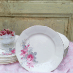 ASSIETTE PLATE DIGOIN 4911