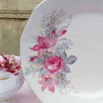 ASSIETTE PLATE DIGOIN 4911 – Image 2