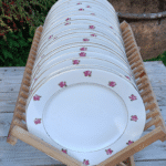 ASSIETTE PLATE DIGOIN 9105