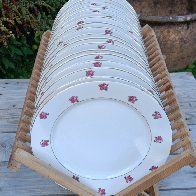 ASSIETTE PLATE DIGOIN 9105