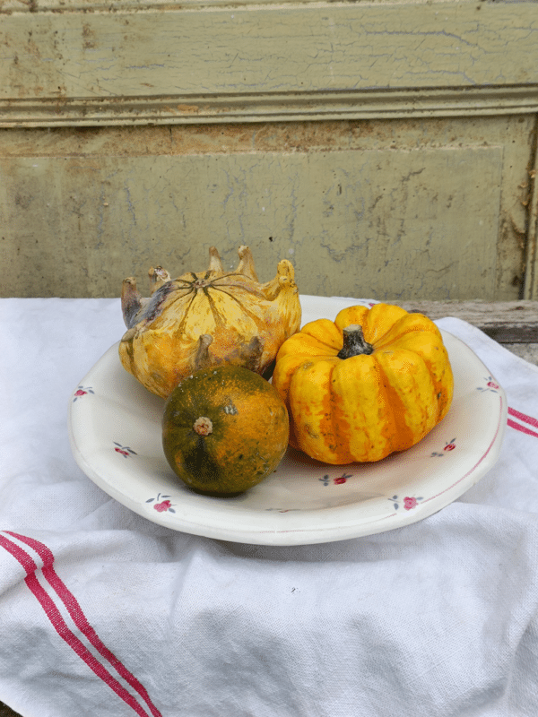 SERVITEUR A FRUITS SARREGUEMINES AMAZON – Image 3
