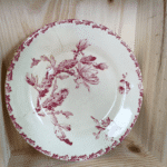 ASSIETTE PLATE GIEN CACTUS ROUGE