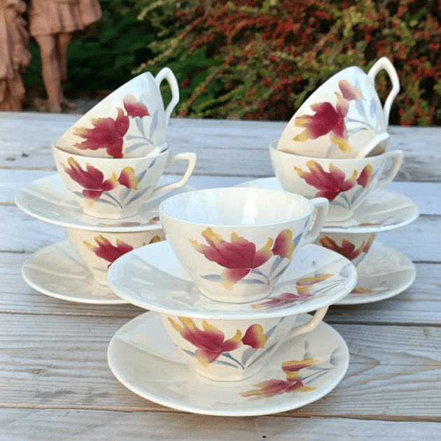 TASSE SEUL SANS SOUS COUPE DIGOIN 9225