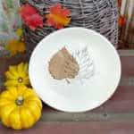 LOT ASSIETTES PLATES X4 NIDERVILLER BOTANIQUE – Image 4