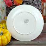 LOT ASSIETTES PLATES X4 NIDERVILLER BOTANIQUE – Image 3