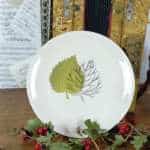 LOT ASSIETTES PLATES X4 NIDERVILLER BOTANIQUE – Image 2