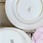 LOT DE 2 PLATS DIGOIN – Image 3