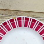 LOT DE 2 PLATS DIGOIN – Image 4
