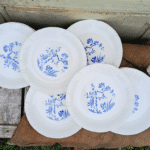 ASSIETTE PLATE DIGOIN PARADIS – Image 5