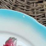 ASSIETTE PLATE DIGOIN RICHELIEU – Image 4