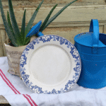 ASSIETTE PLATE U&C SARREGUEMINES