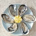 LOT DE 4 ASSIETTES À HUÎTRES SALINS FRANCE – Image 8