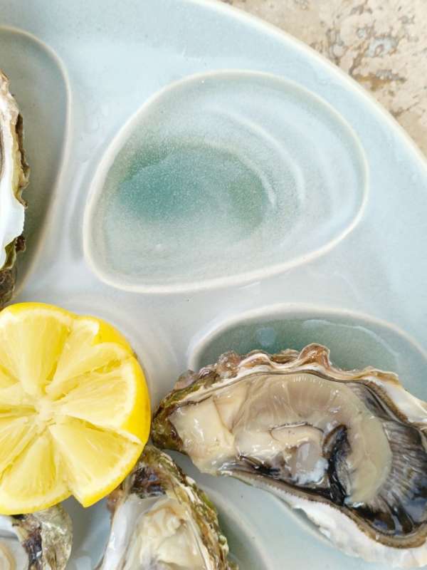 LOT DE 4 ASSIETTES À HUÎTRES SALINS FRANCE – Image 5