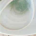LOT DE 4 ASSIETTES À HUÎTRES SALINS FRANCE – Image 6