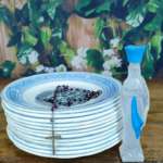 LOT 12 ASSIETTES PARLANTES RELIGIEUSE CREIL MONTEREAU