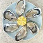 LOT DE 4 ASSIETTES À HUÎTRES SALINS FRANCE