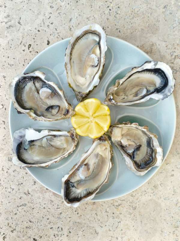 LOT DE 4 ASSIETTES À HUÎTRES SALINS FRANCE