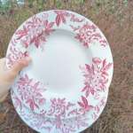 LOT DE 2 ASSIETTES CREUSES TERRE DE FER – Image 8