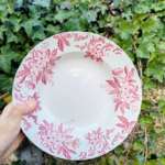 LOT DE 2 ASSIETTES CREUSES TERRE DE FER – Image 4