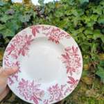 LOT DE 2 ASSIETTES CREUSES TERRE DE FER – Image 6