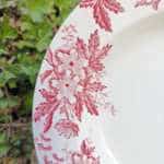 LOT DE 2 ASSIETTES CREUSES TERRE DE FER